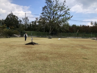 関西 近畿でおすすめのドッグラン特集 みんなのペットライフ