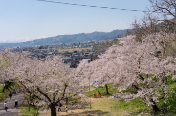 南陽市役所の周辺でおすすめのペット施設特集 みんなのペットライフ