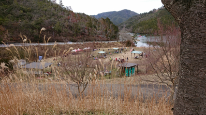 京都府でおすすめのレジャー施設特集 みんなのペットライフ