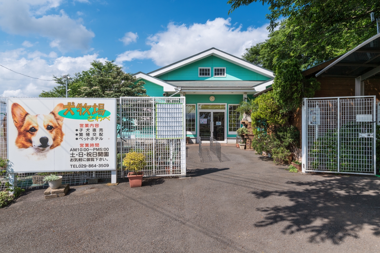 犬牧場さわべ：茨城県つくば市（ペット用品販売店）｜てくてく